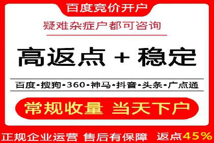 高效百度推广案例解析及优化策略
